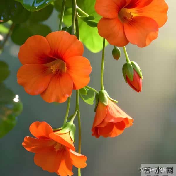 怪不得成功人士都爱用这几个数！手机尾号中《能量学》，学到了