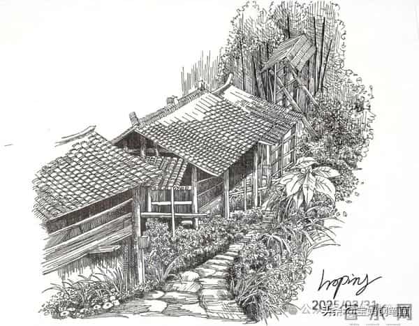 2025年钢笔画作品集，坚持就有收获