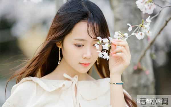 四大生肖潇洒转身迎好运：挥手过往羁绊 拥抱璀璨新生