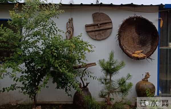 一个院的两个女人——殷勤（22）