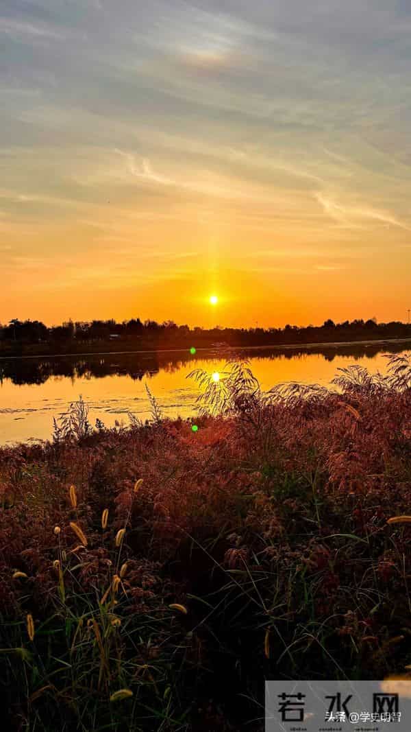 100句岁月沉淀名句,真诚的陪伴都是生命中最珍贵的礼物