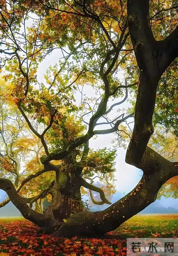 五首哲理古诗,深藏智慧,读懂受益一生