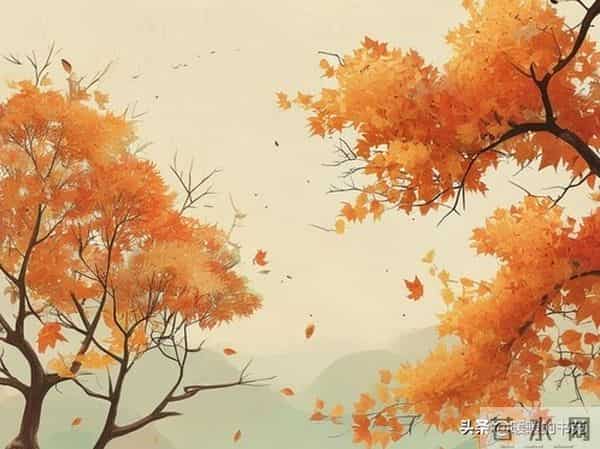 极致释怀的精品名句，读懂便是人间清醒