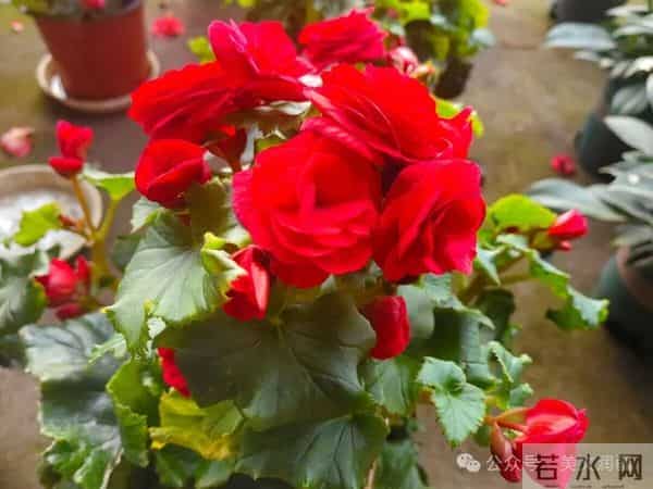 最经典的九篇古文(建议收藏)