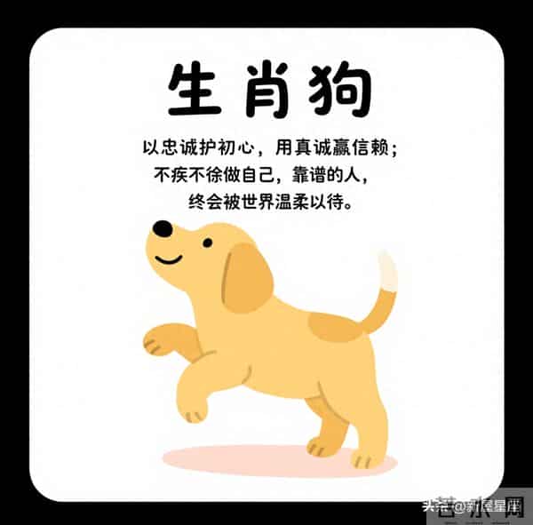 生肖狗,12月3号至12月7号上半月运势,即将喜从天降!