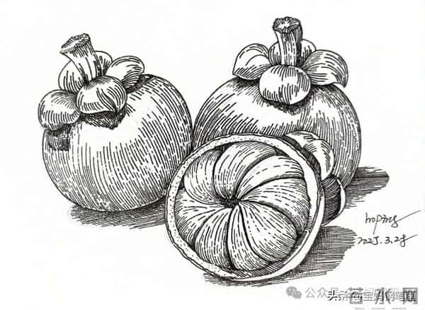 2025年钢笔画作品集，坚持就有收获