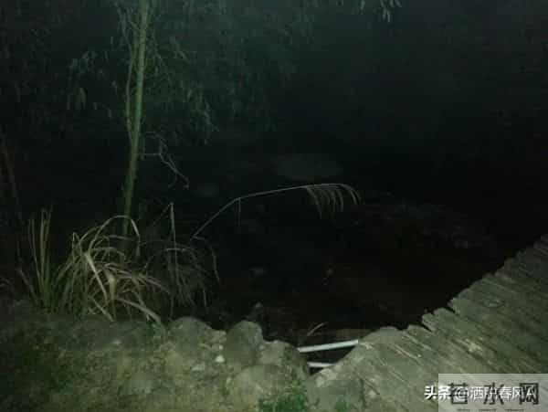 我的傻疯娘，我的媳妇儿（6）