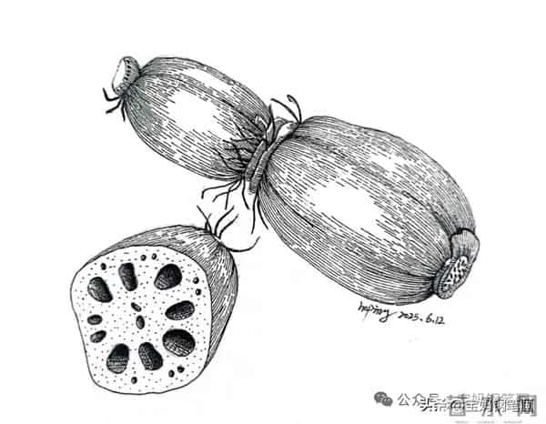 2025年钢笔画作品集，坚持就有收获