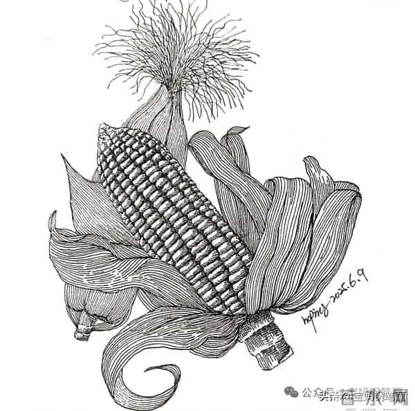 2025年钢笔画作品集，坚持就有收获