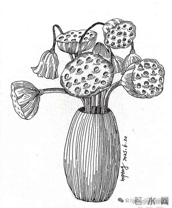 2025年钢笔画作品集，坚持就有收获