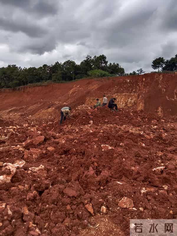 身价暴增,却以绝种的石头!