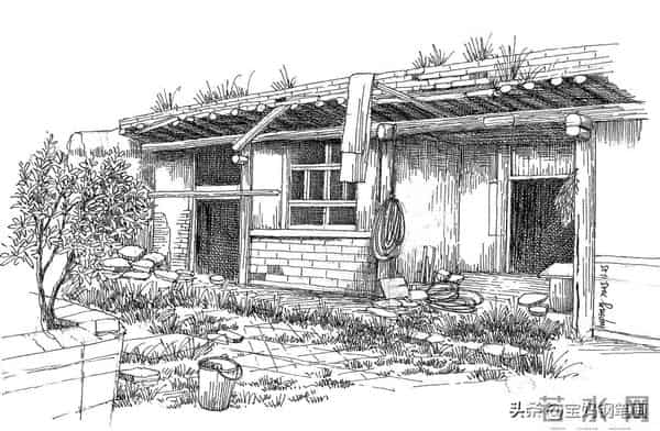 2025年钢笔画作品集，坚持就有收获