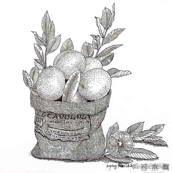 2025年钢笔画作品集，坚持就有收获