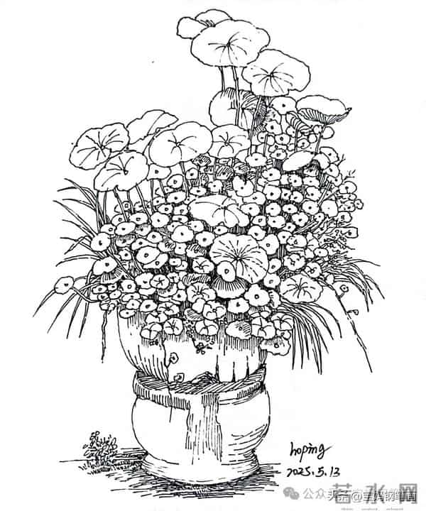2025年钢笔画作品集，坚持就有收获