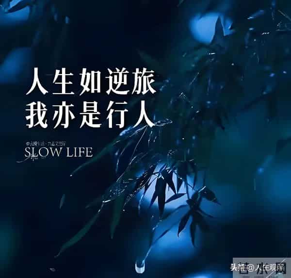 经典重温—人生如逆旅,我亦是行人《临江仙·送钱穆父》宋·苏轼