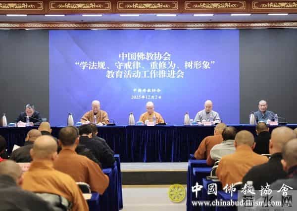 中国佛教协会：严肃处理违规犯戒行为，清理害群之马