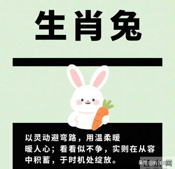 生肖兔人注意,12月3号至12月7号上半月运势,会有事发生!