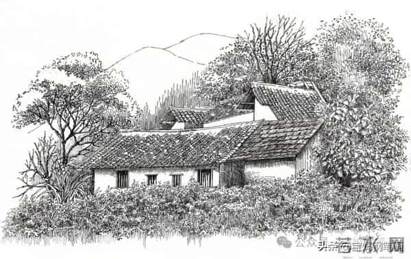 2025年钢笔画作品集，坚持就有收获