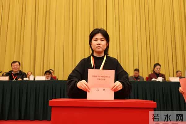 中国美院教授张爱国执掌杭州市书协!