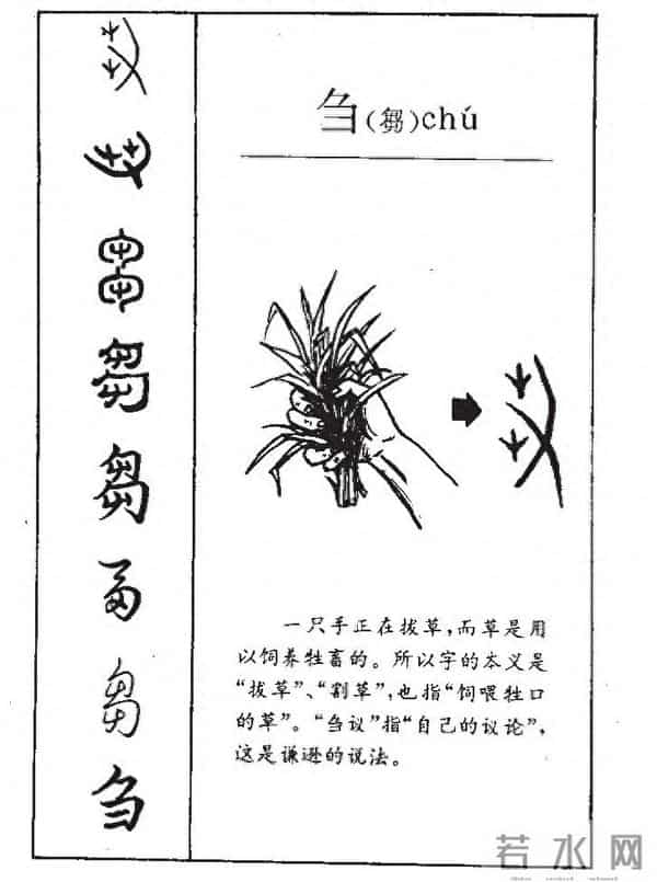 说：“刍”“急”“稳”——藏于字形的修心之道