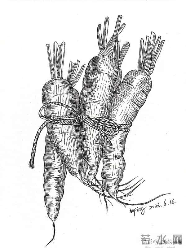 2025年钢笔画作品集，坚持就有收获