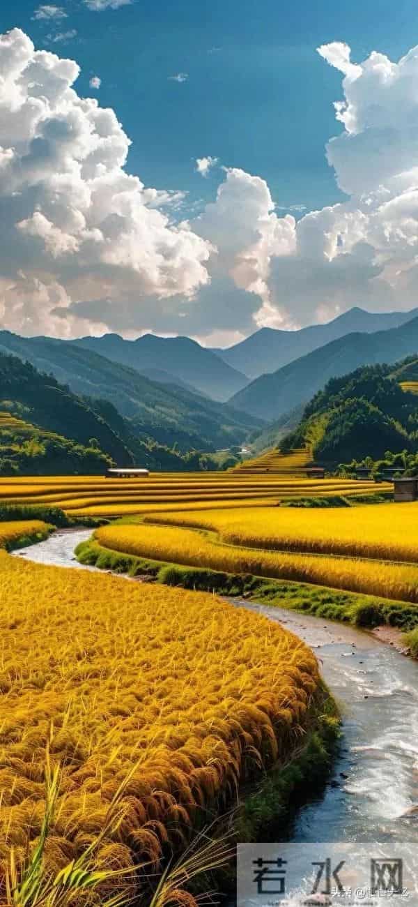 20首唯美小诗，空灵至极，每一句都是人间妙笔