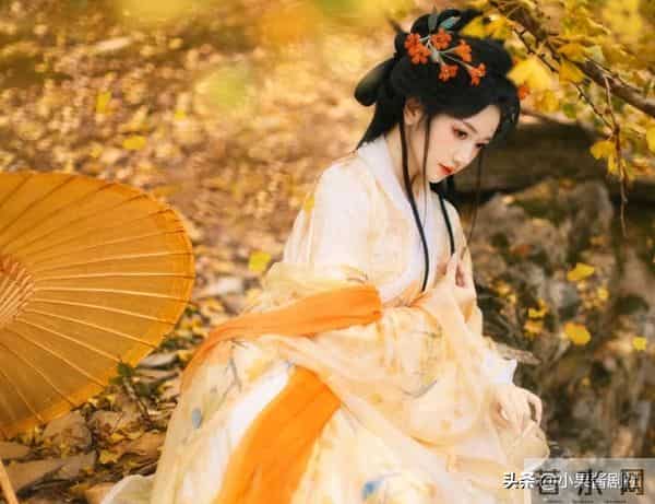 上元灯夜，谢予舟为护表妹，将我推到恶犬嘴边，事后，他登门道歉