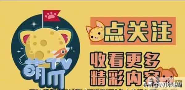 男子嫌弃妻子太丑，将她推下山崖，妻子-晚上睡觉别脱鞋