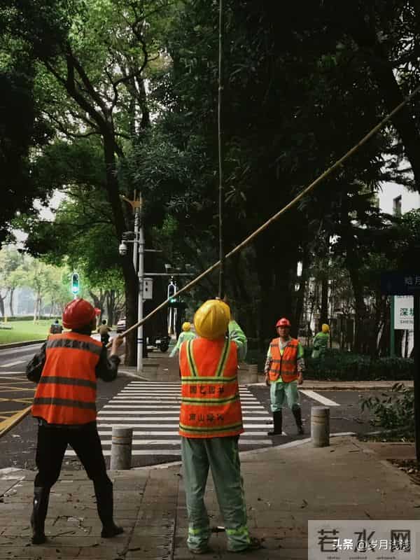 泪目了!农民工大叔在餐厅吃完饭,用纸巾将坐过的椅子,擦干净!