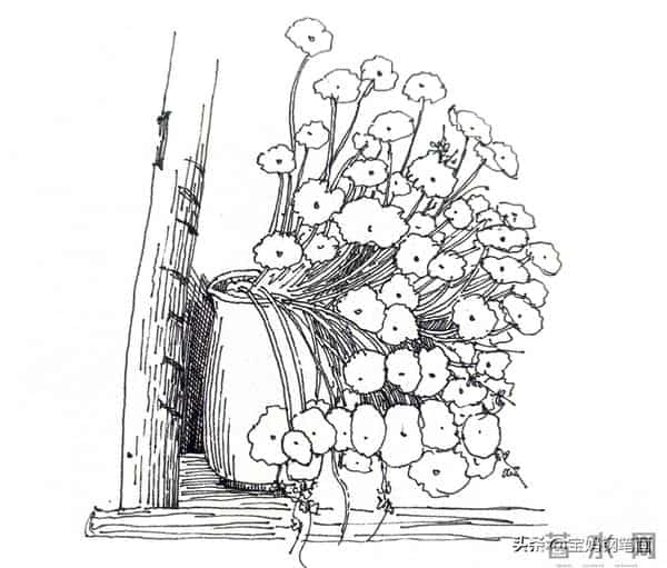 2025年钢笔画作品集，坚持就有收获