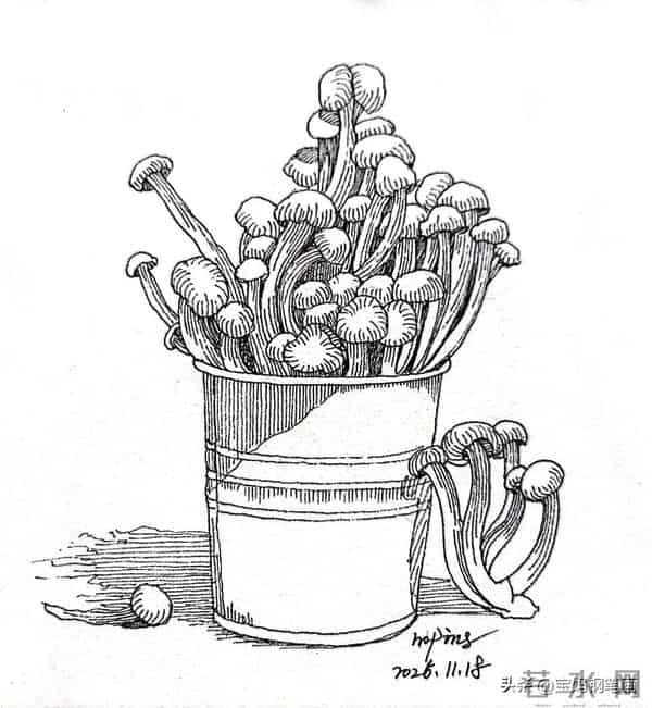 2025年钢笔画作品集，坚持就有收获