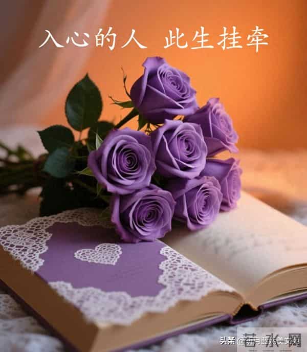 入心的人，此生挂牵