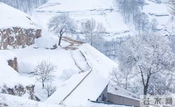 明日十月十五，老人说“十月十五怕天晴”，十月十五天晴啥预兆？