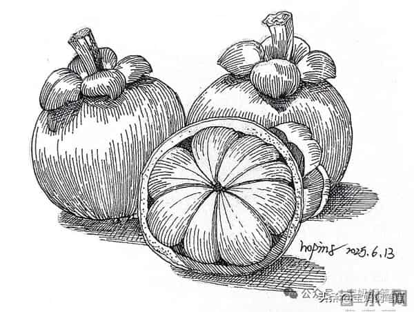 2025年钢笔画作品集，坚持就有收获