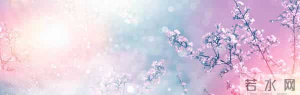 (完)老公助理敢拿我做的饭喂狗,一顿操作,最后学狗叫的是她下