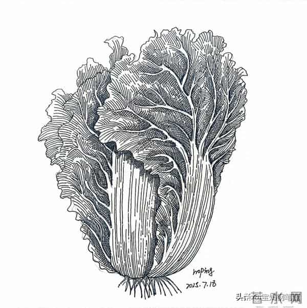 2025年钢笔画作品集，坚持就有收获