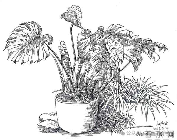 2025年钢笔画作品集，坚持就有收获