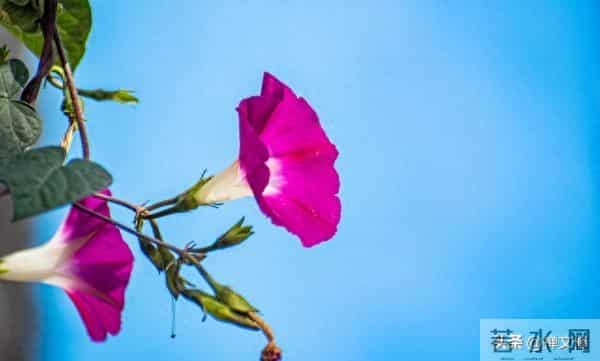 真正修行之人,会活成自己的光,觉醒后他们有这三种境界