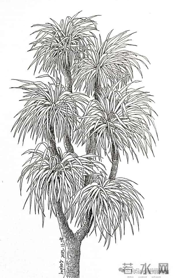 2025年钢笔画作品集，坚持就有收获