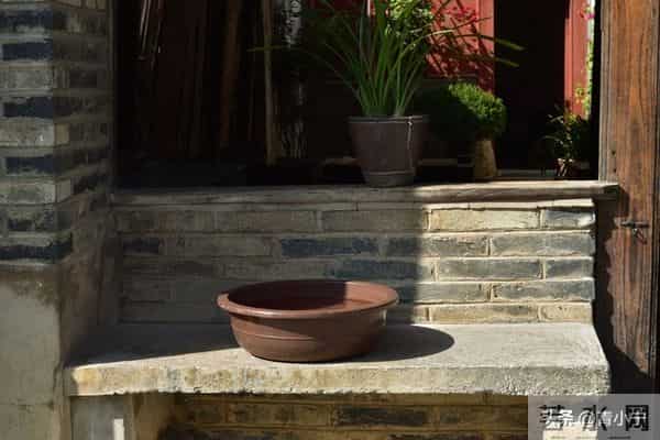 一个院的两个女人——出路（21）