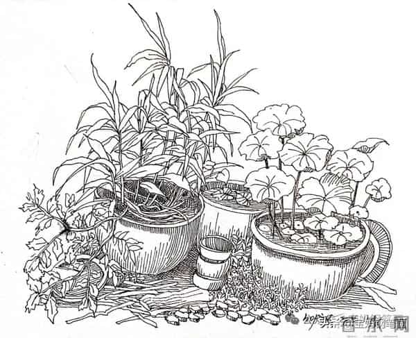 2025年钢笔画作品集，坚持就有收获