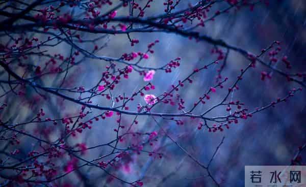 10首寒夜诗:生活雅趣,人情温暖,伴你度过漫漫冬夜