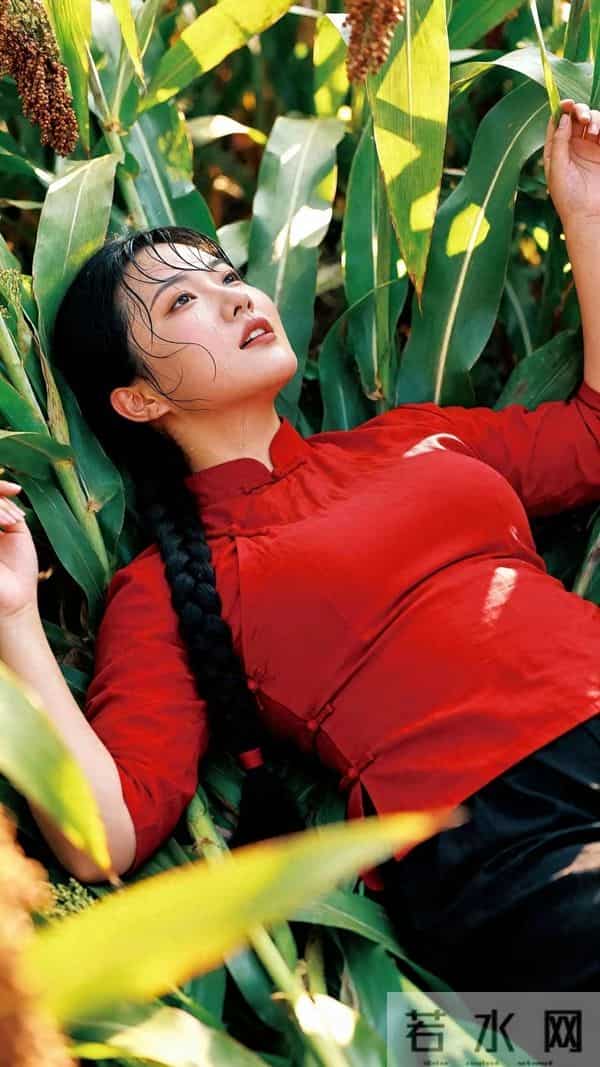 青玉案·红妆卧穗（作者-山顶看天听风）