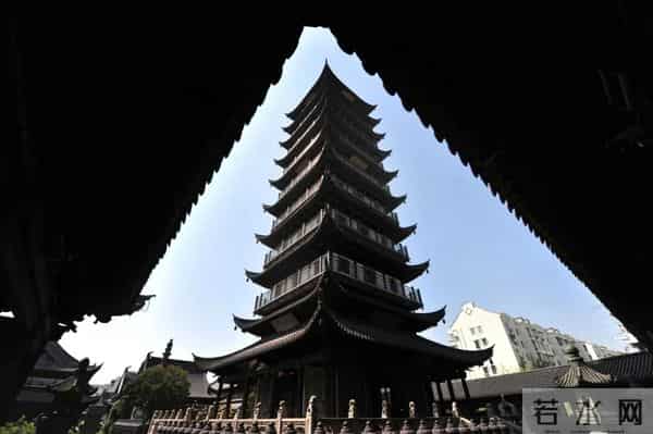 普陀这对近700年的“老朋友”,进入最佳观景期→