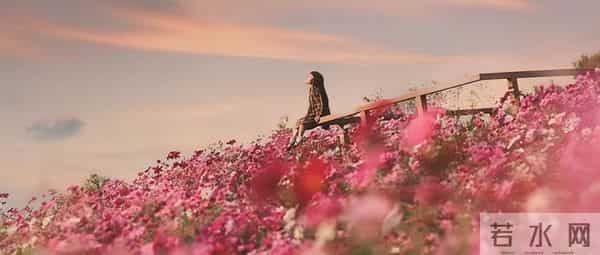 完结-圣诞夜,我把他送秘书的蕾丝睡衣,连同一纸离婚书退了回去