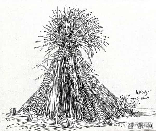 2025年钢笔画作品集，坚持就有收获