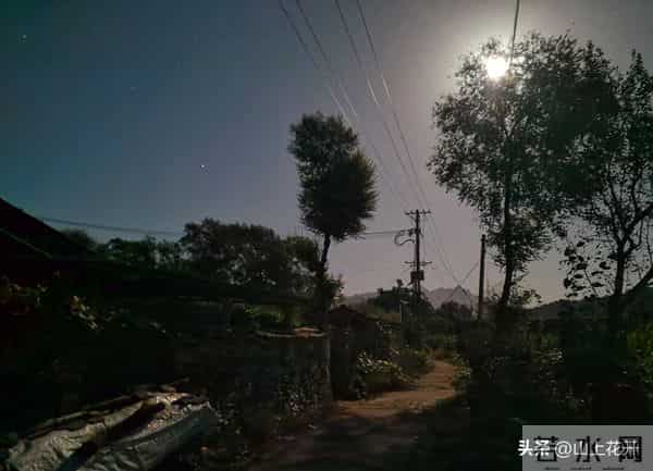 漂亮的五婶(174)五婶心里很感激马三