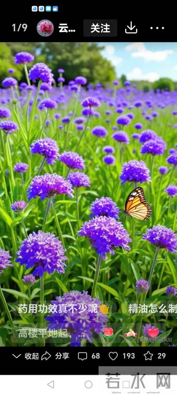 七言诗~福寿康宁寿延年