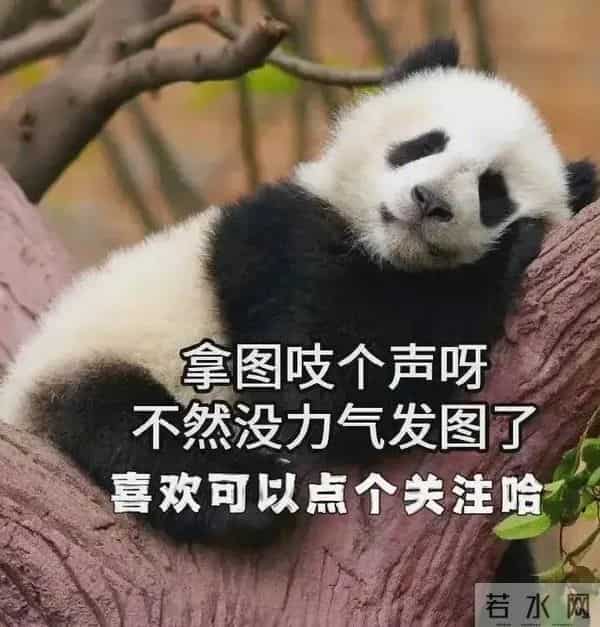 冬至已临,愿你三餐烟火暖,四季皆安然,喜乐无忧!