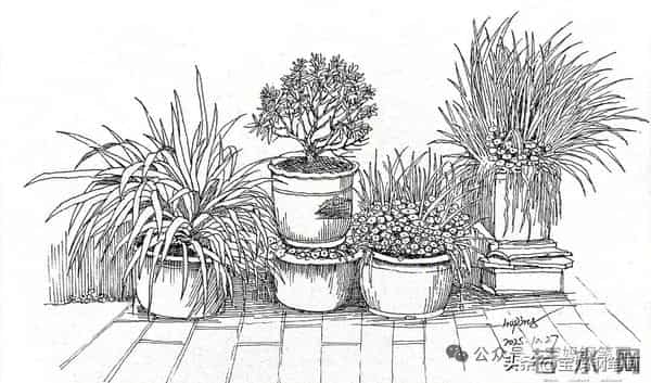 2025年钢笔画作品集，坚持就有收获